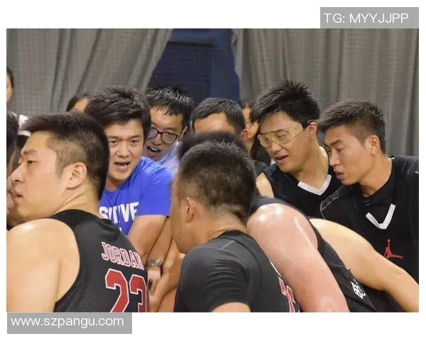 南京篮球队在冠军赛中的团队协作表现分析与评价