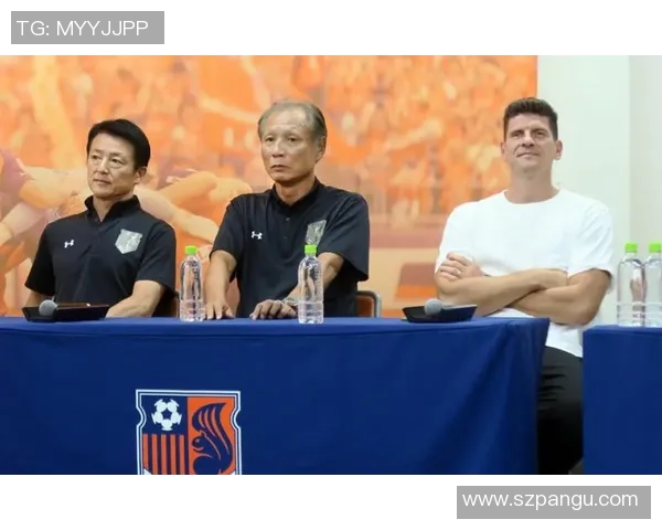 外国足球明星参军的背后故事与他们对国家的热爱与奉献精神